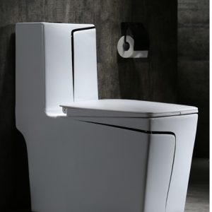 Black-Luxury-wc-1.jpg