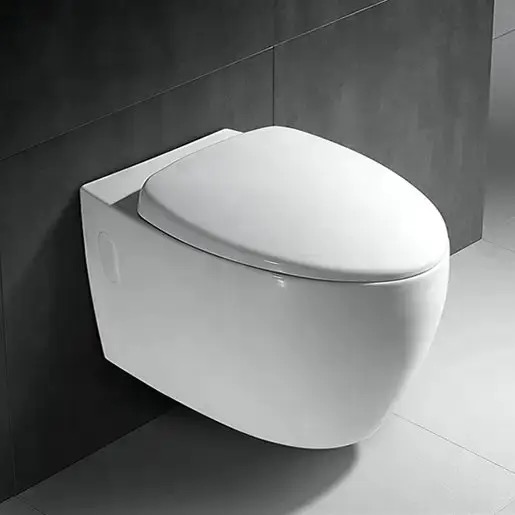 Super Executive Conduit Water Closet - Model BT365-TCT6